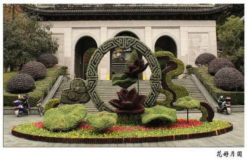 四川大型雕塑廠 大型鳳凰五色草造型廠家專業(yè)定制保質保量