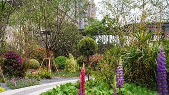 游學(xué)報名丨蘇州精品地產(chǎn)項目深度考察 7月27 28日