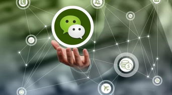 微信上千萬別做的危險(xiǎn)行為，三言兩語就可能送你坐牢